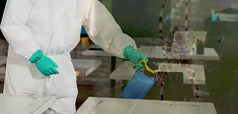 Why Buyers Still Want Homes With Pest Infestations in Columbia, SC?